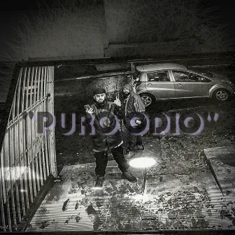 Puro Odio by APOLO SICK SOUL