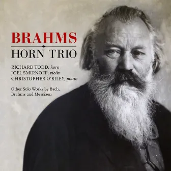 Brahms Horn Trio by Richard Todd