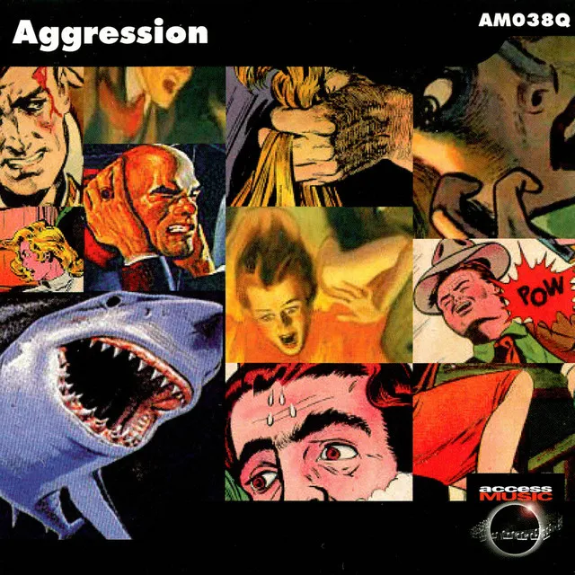 Aggression