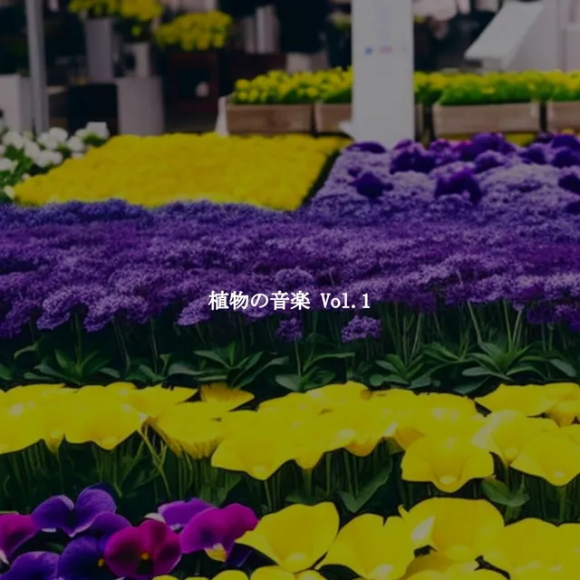 植物の音楽 Vol.1