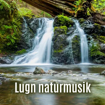 Lugn naturmusik: Meditation, Sömn, Avkoppling by Avslappnande Meditation Akademi