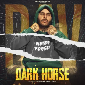 Dark Horse by 