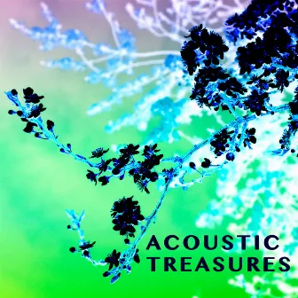 Acoustic Treasures by The Bulgarian Film Orchestra