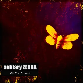 Off The Ground by Solitary Zebra