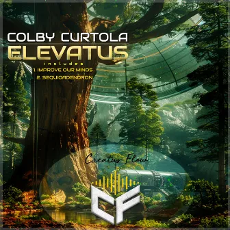 Elevatus by 