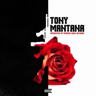 Tony Mantana by Tony Mantana