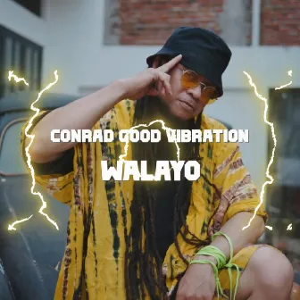 Walayo by Conrad Good Vibration