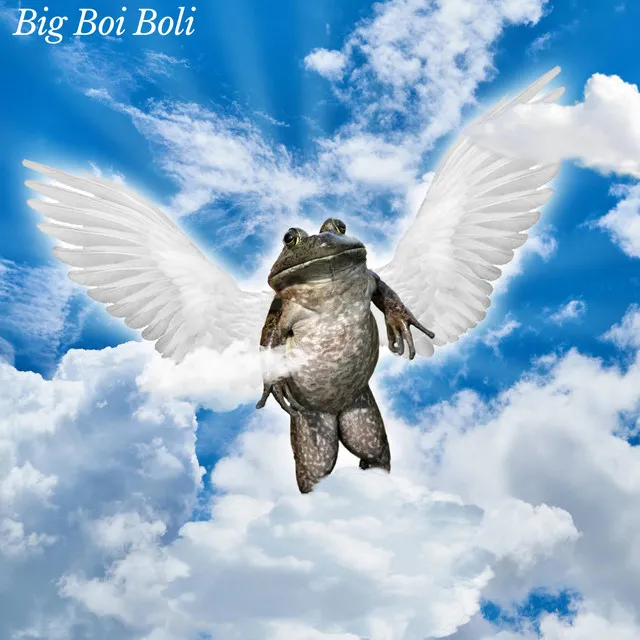 Big Boi Boli