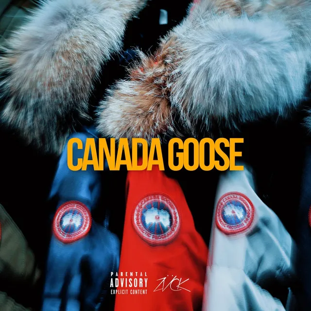 Canada Goose