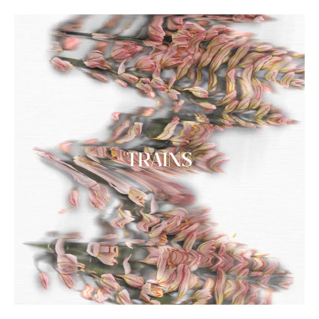 Trains