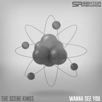 Wanna See You by The Scene Kings