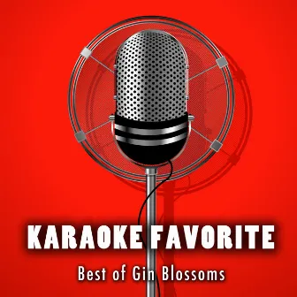 Best Of Gin Blossoms (Karaoke Version) by Anna Gramm