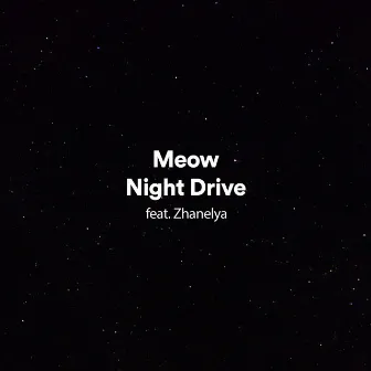 Night Drive by Meow