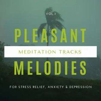 Pleasant Melodies - Meditation Tracks For Stress Relief, Anxiety & Depression Vol.1 by Laid Back Stress Relieving Easy Mellow and Ambient Lounge Music