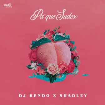 Pa' Que Sudes by DJ Kendo