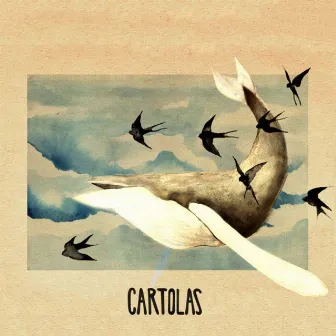 Cartolas by Cartolas