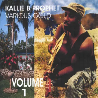 Various Gold Vol. 1 by Kallie B Prophet