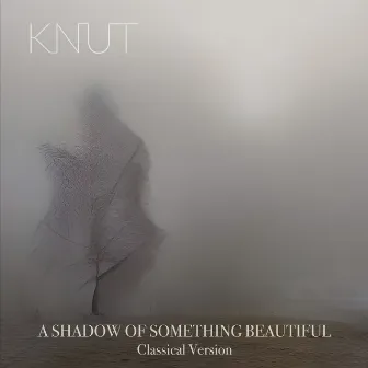 A Shadow of Something Beautiful (Classical Version) by KNUT