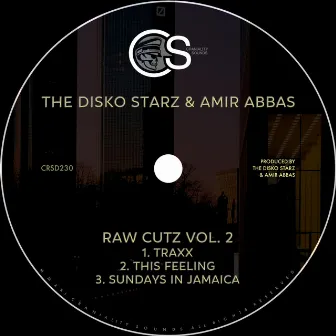 Raw Cutz, Vol. 2 by The Disko Starz