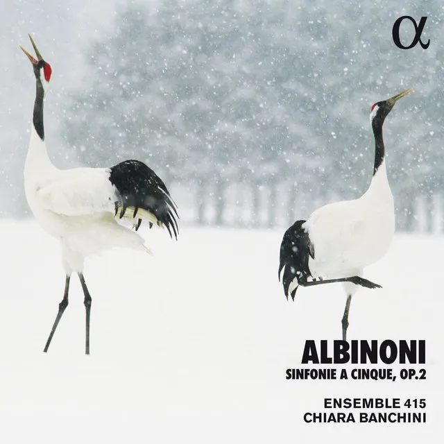 Albinoni: Sinfonie a Cinque, Op. 2