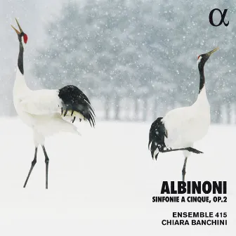 Albinoni: Sinfonie a Cinque, Op. 2 by Chiara Banchini