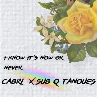 I Know It's Now or Never by Cabri