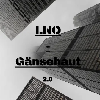 Gänsehaut 2.0 by LNO