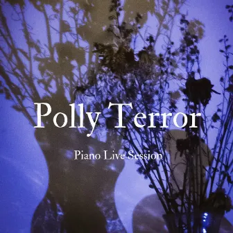 Piano Live by Polly Terror