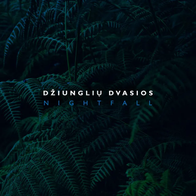 Džiunglių Dvasios