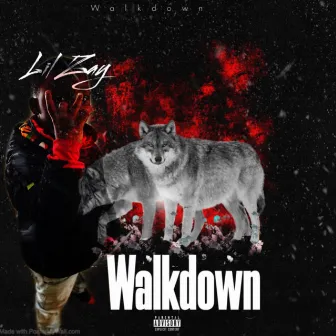 Walkdown by Yung Zay