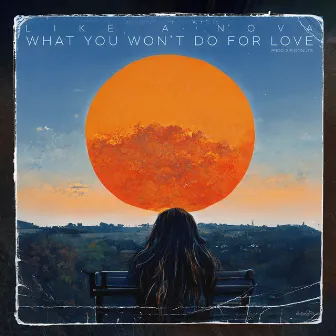 What You Won't Do for Love by Like.a.Nova