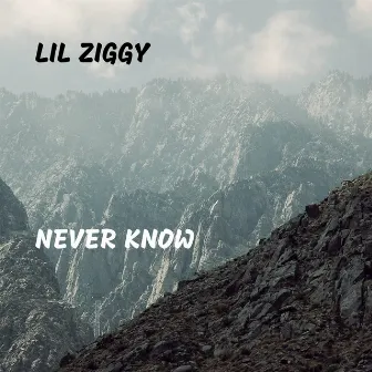 Never Know by Lil Ziggy