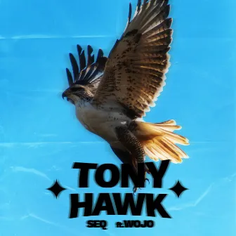 Tony Hawk by Seq