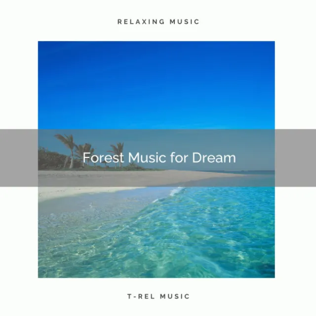 Woods Music for Sweet Dreams