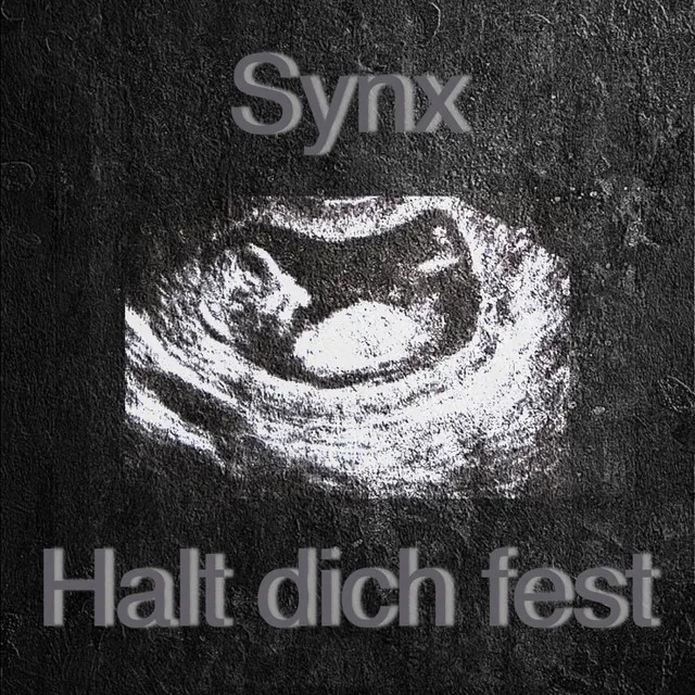 Halt dich fest