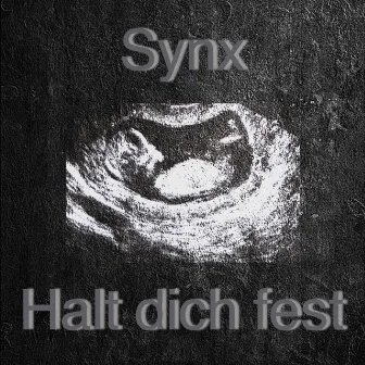 Halt dich fest by Synx