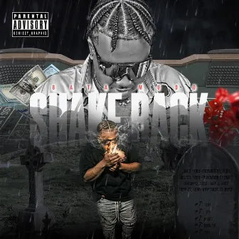 Shake Back by Gata Mudd