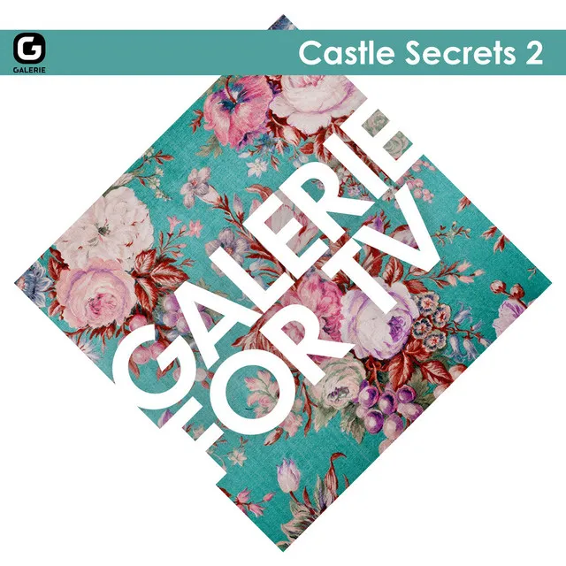 Galerie for TV - Castle Secrets 2