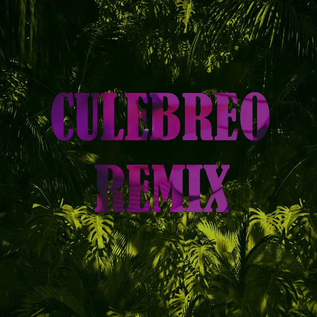 Culebreo - Remix