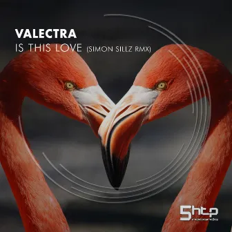 Is This Love by Valectra