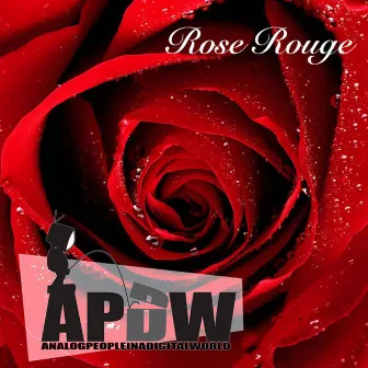 Rose rouge by Analog People In A Digital World