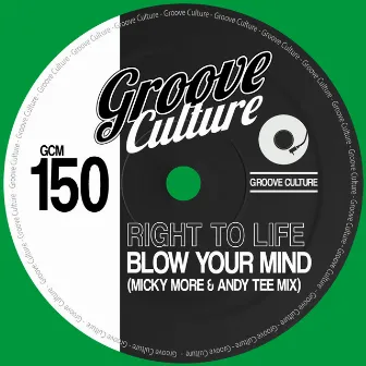 Blow Your Mind (Micky More & Andy Tee Mix) by Right To Life