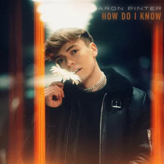 How Do I Know by Aron Pinter