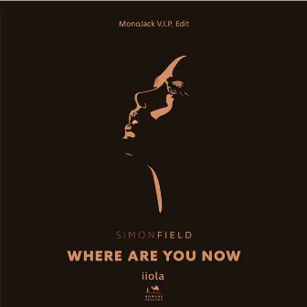 Where Are You Now (MonoJack VIP Edit) by iiola