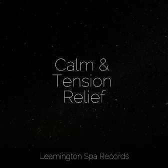 Calm & Tension Relief by Sounds Of Rain & Thunder Storms