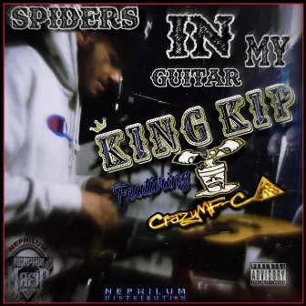 Spiders In My Guitar by King Kip