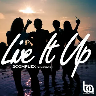 Live It Up by 2Complex