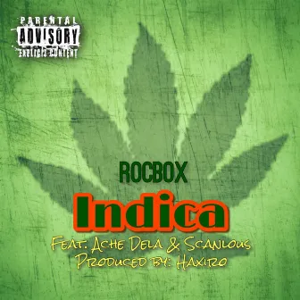 Indica by ROCBOX