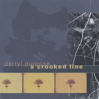 A Crooked Line by Darryl Purpose