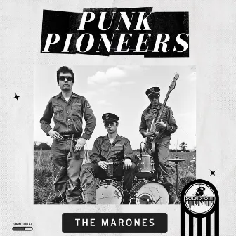 Punk Pioneers by Ingo Hassenstein